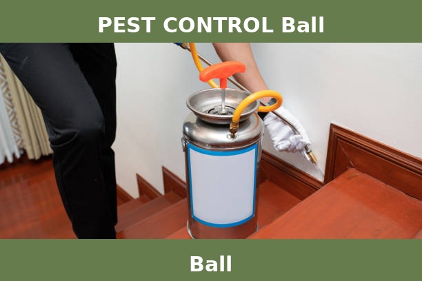 PEST CONTROL Ball